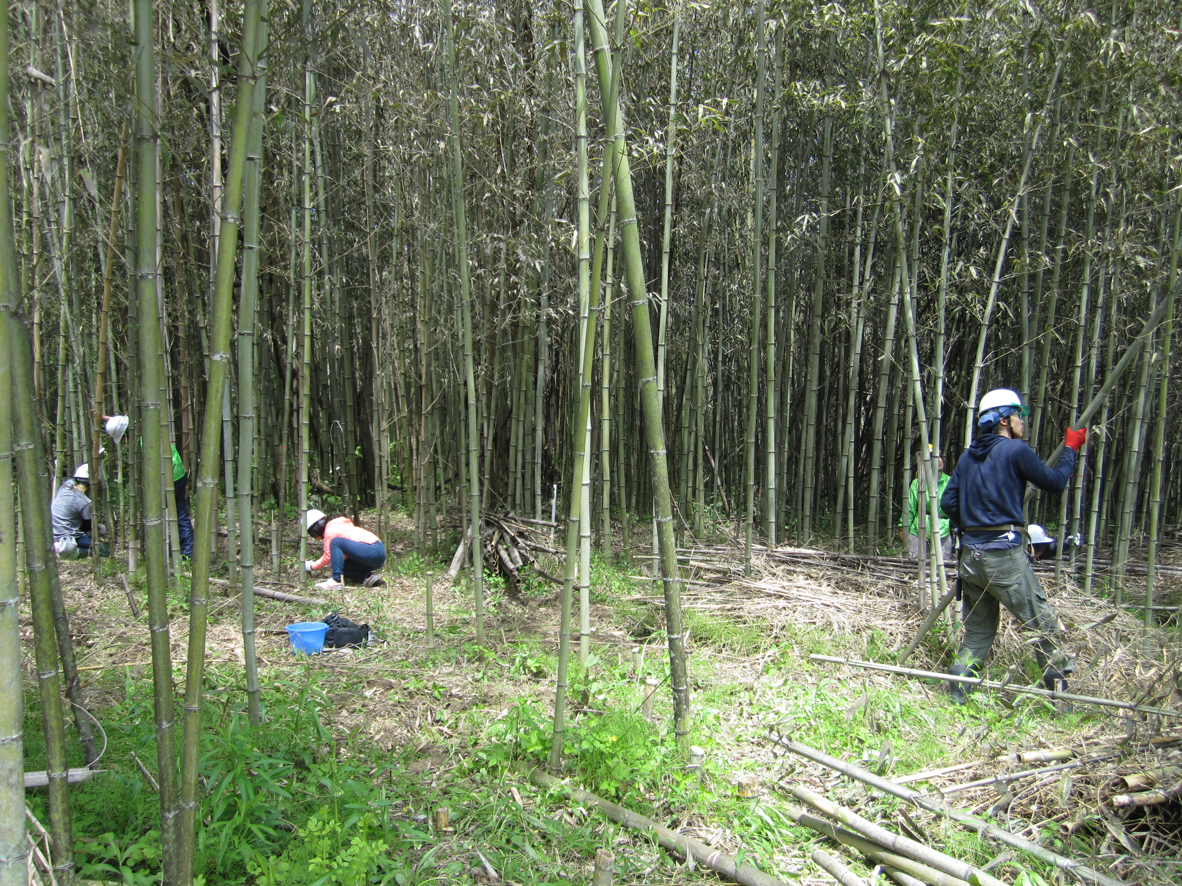 ・ 竹害に悩む栃木県内の荒れた里山がきれいに！地域環境の保全に貢献！